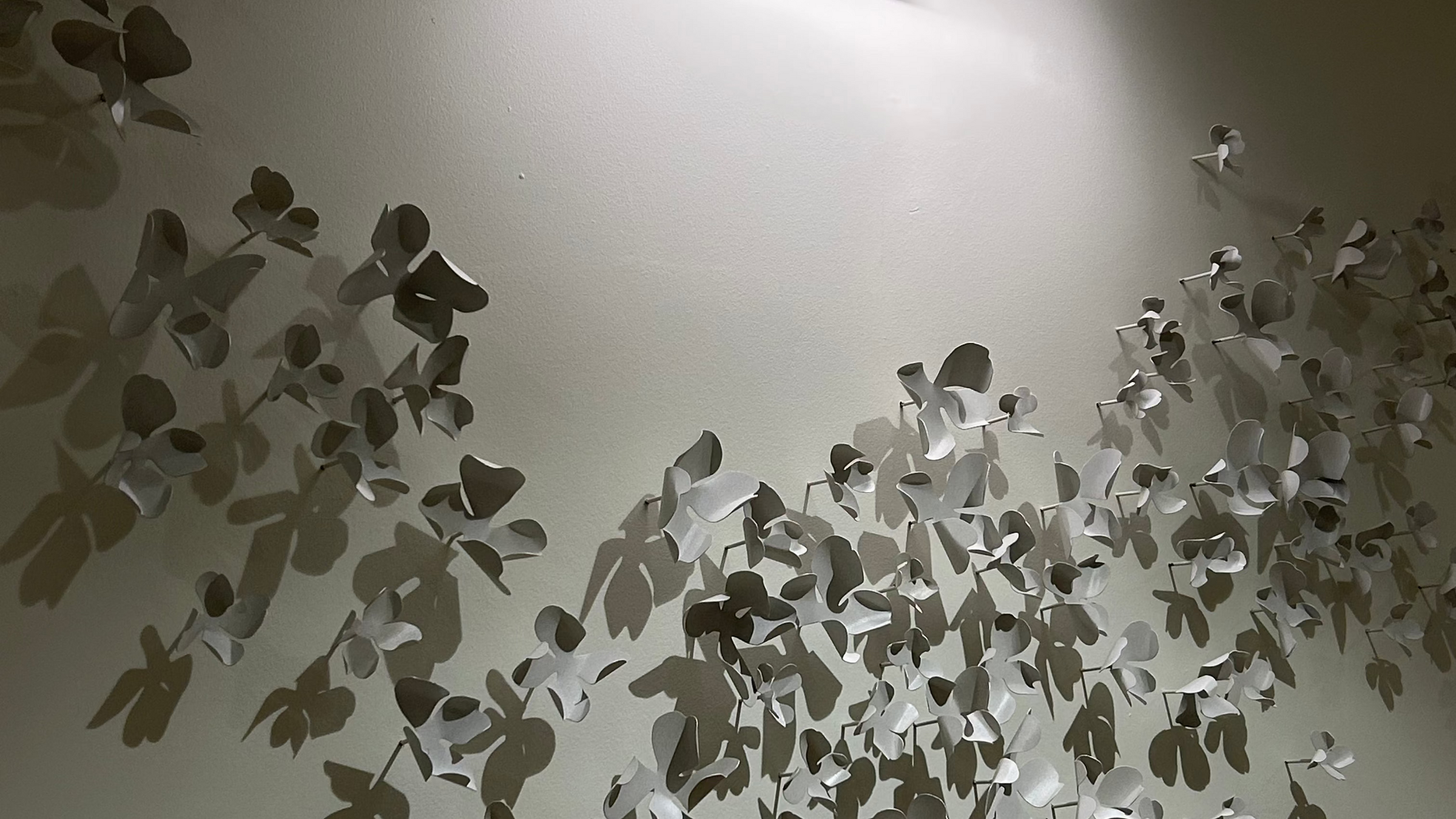 Lucky Four-Leaf Clover Fragments Installation