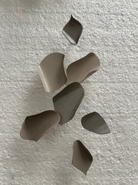 Climbing Petals Fragments Installation