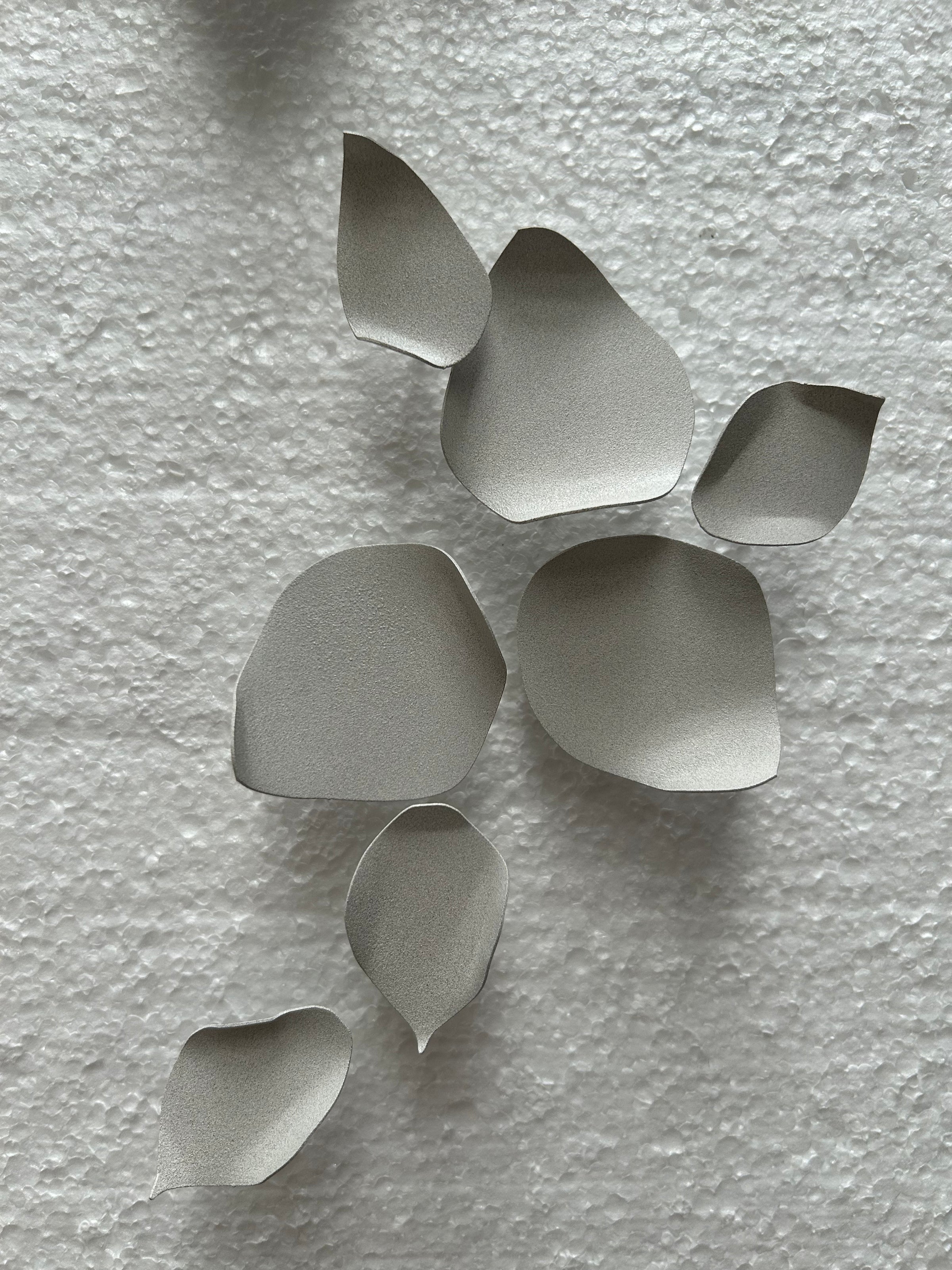 Climbing Petals Fragments Installation