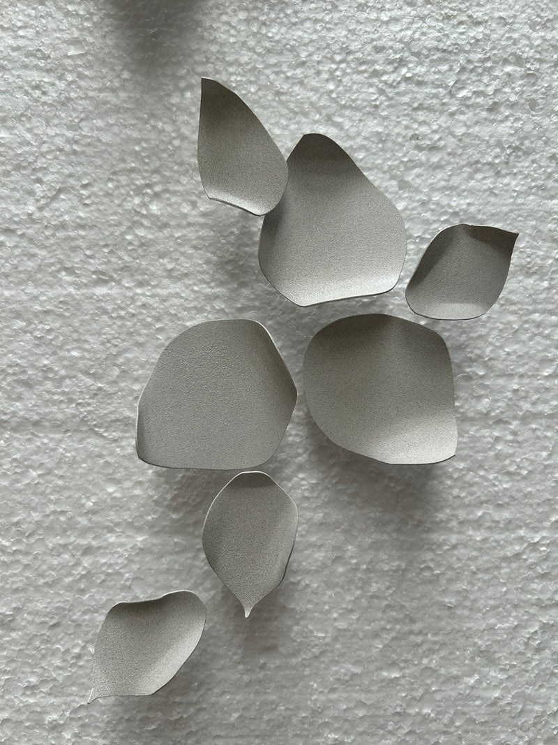 Climbing Petals Fragments Installation