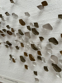 Climbing Petals Fragments Installation